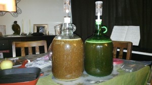 Carboys containing mead.